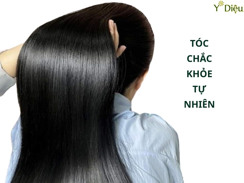 Hà Thủ Ô Trị Tóc Bạc, Kích Mọc Tóc, Giúp Tóc Khỏe Mạnh